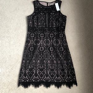 Loft black lace dress